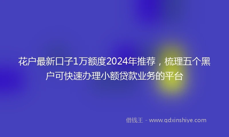 花户最新口子1万额度2024年推荐，梳理五个黑户可快速办理小额贷款业务的平台