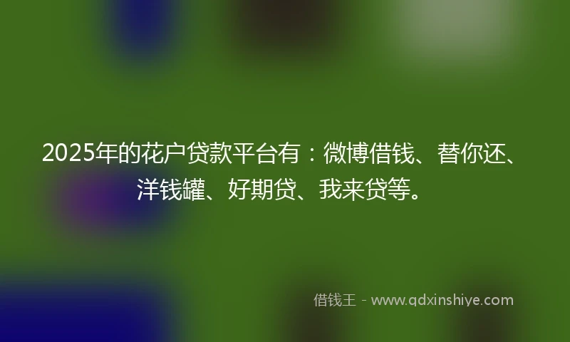2025年的花户贷款平台有：微博借钱、替你还、洋钱罐、好期贷、我来贷等。