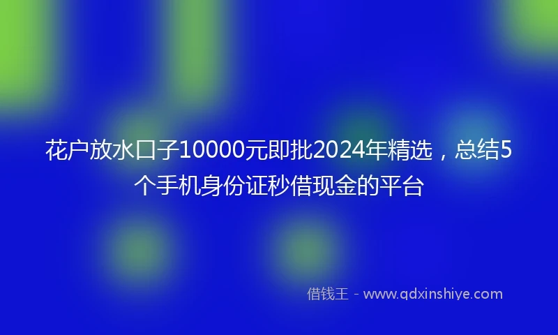 花户放水口子10000元即批2024年精选，总结5个手机身份证秒借现金的平台