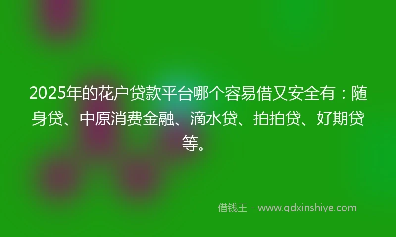 2025年的花户贷款平台哪个容易借又安全有：随身贷、中原消费金融、滴水贷、拍拍贷、好期贷等。