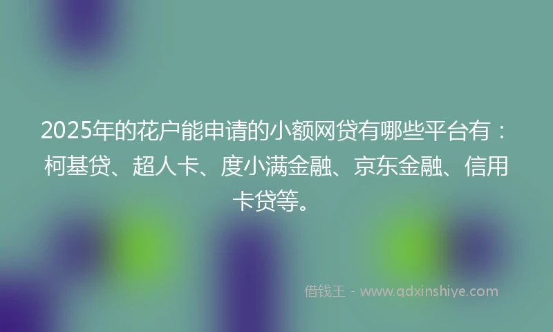 2025年的花户能申请的小额网贷有哪些平台有：柯基贷、超人卡、度小满金融、京东金融、信用卡贷等。