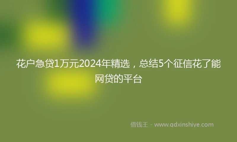 花户急贷1万元2024年精选，总结5个征信花了能网贷的平台