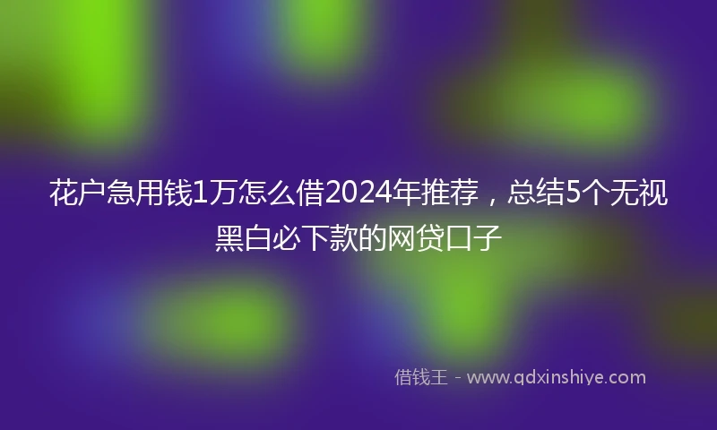 花户急用钱1万怎么借2024年推荐,总结5个无视黑白必下款的网贷口子