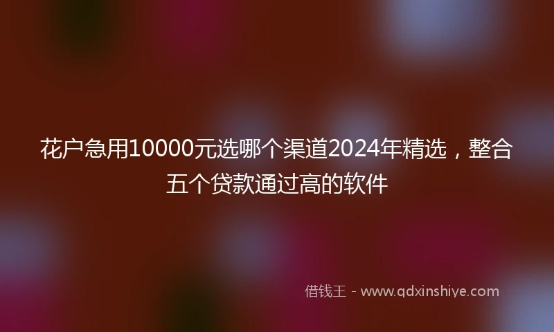 花户急用10000元选哪个渠道2024年精选,整合五个贷款通过高的软件