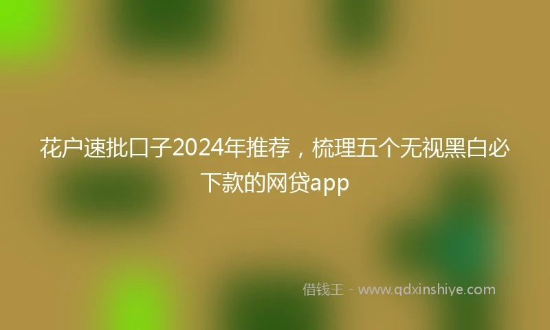 花户速批口子2024年推荐，梳理五个无视黑白必下款的网贷app