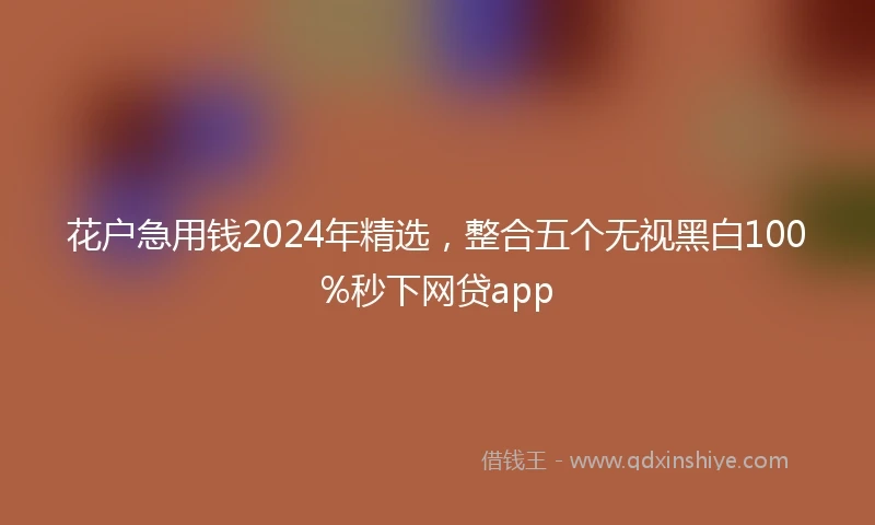 花户急用钱2024年精选，整合五个无视黑白100%秒下网贷app