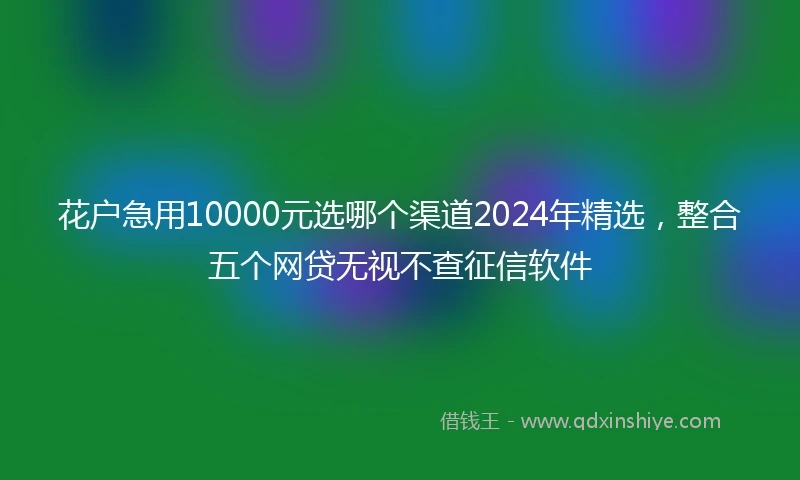 花户急用10000元选哪个渠道2024年精选，整合五个网贷无视不查征信软件