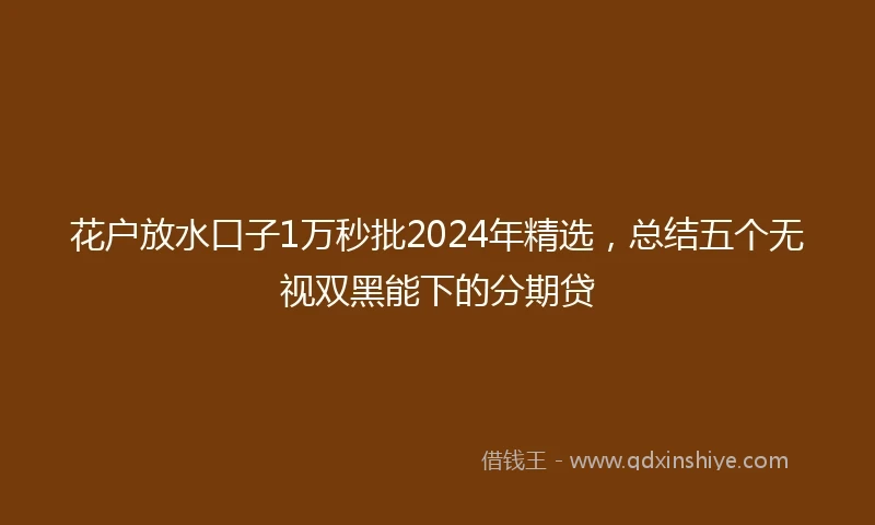 花户放水口子1万秒批2024年精选，总结五个无视双黑能下的分期贷