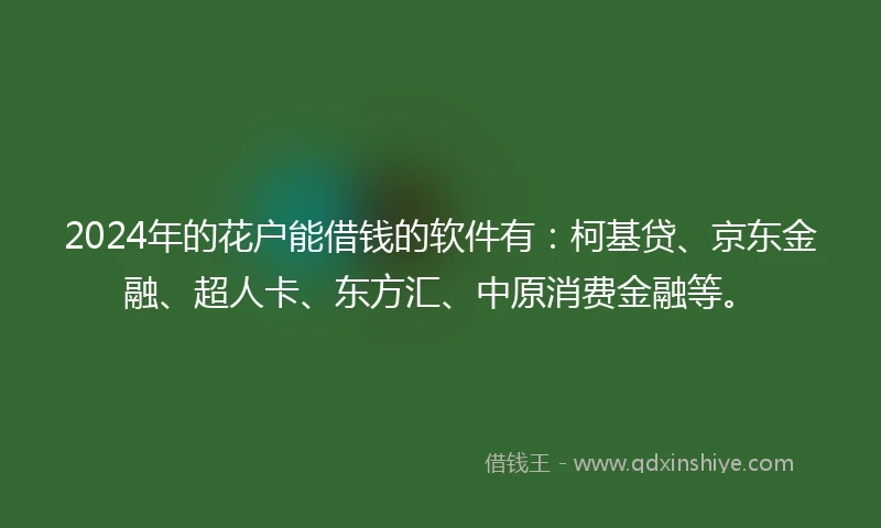 2024年的花户能借钱的软件有：柯基贷、京东金融、超人卡、东方汇、中原消费金融等。