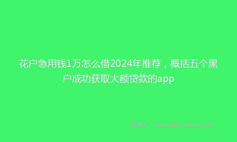花户急用钱1万怎么借2024年推荐，概括五个黑户成功获取大额贷款的app