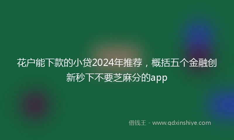 花户能下款的小贷2024年推荐，概括五个金融创新秒下不要芝麻分的app