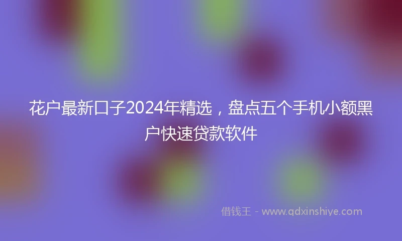花户最新口子2024年精选，盘点五个手机小额黑户快速贷款软件
