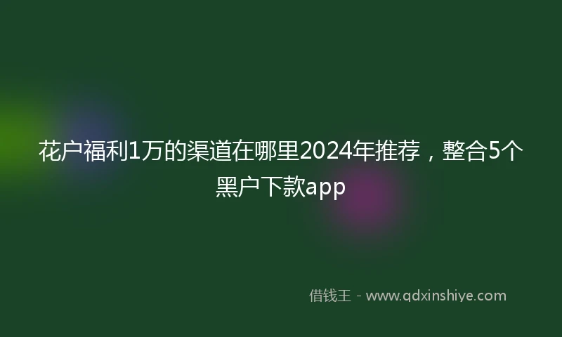 花户福利1万的渠道在哪里2024年推荐，整合5个黑户下款app