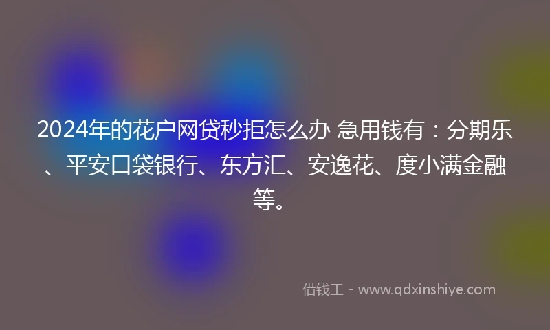 2024年的花户网贷秒拒怎么办 急用钱有：分期乐、平安口袋银行、东方汇、安逸花、度小满金融等。