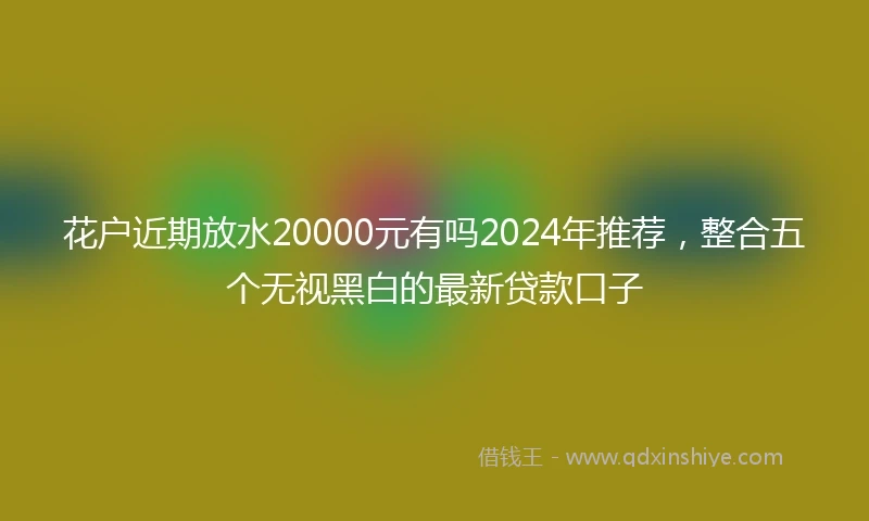 花户近期放水20000元有吗2024年推荐，整合五个无视黑白的最新贷款口子