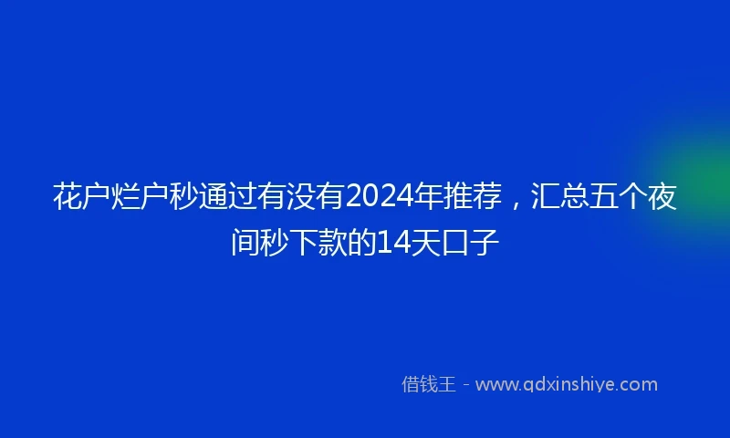 花户烂户秒通过有没有2024年推荐，汇总五个夜间秒下款的14天口子