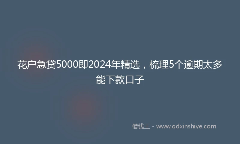 花户急贷5000即2024年精选，梳理5个逾期太多能下款口子