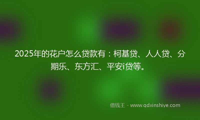 2025年的花户怎么贷款有：柯基贷、人人贷、分期乐、东方汇、平安i贷等。
