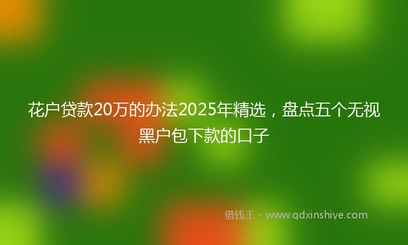 花户贷款20万的办法2025年精选，盘点五个无视黑户包下款的口子