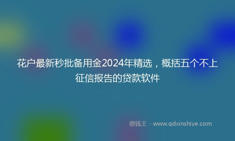 花户最新秒批备用金2024年精选，概括五个不上征信报告的贷款软件