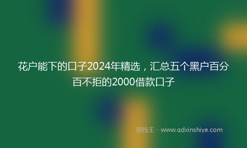 花户能下的口子2024年精选，汇总五个黑户百分百不拒的2000借款口子