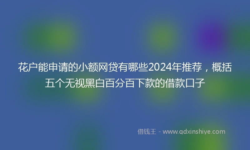 花户能申请的小额网贷有哪些2024年推荐，概括五个无视黑白百分百下款的借款口子