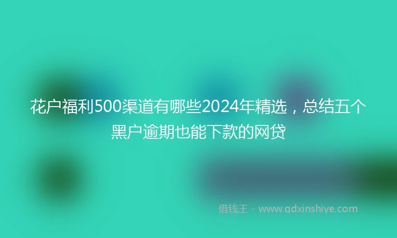 花户福利500渠道有哪些2024年精选，总结五个黑户逾期也能下款的网贷