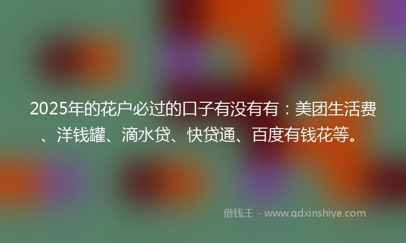 2025年的花户必过的口子有没有有：美团生活费、洋钱罐、滴水贷、快贷通、百度有钱花等。