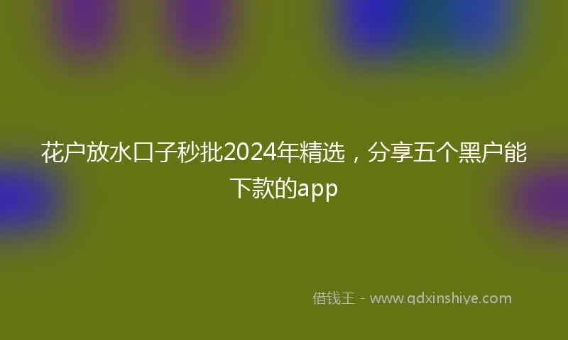 花户放水口子秒批2024年精选，分享五个黑户能下款的app