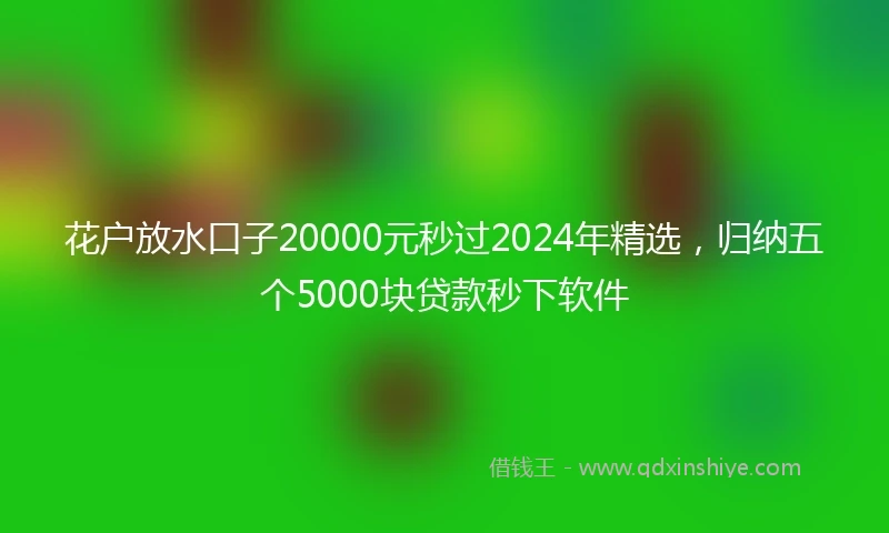 花户放水口子20000元秒过2024年精选，归纳五个5000块贷款秒下软件