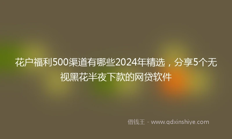 花户福利500渠道有哪些2024年精选，分享5个无视黑花半夜下款的网贷软件