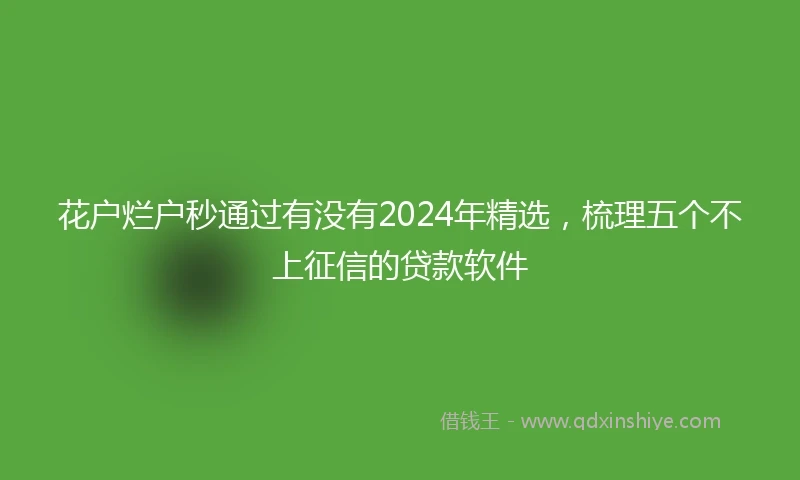 花户烂户秒通过有没有2024年精选，梳理五个不上征信的贷款软件