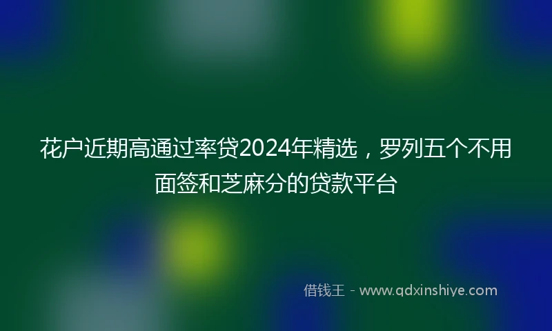 花户近期高通过率贷2024年精选，罗列五个不用面签和芝麻分的贷款平台