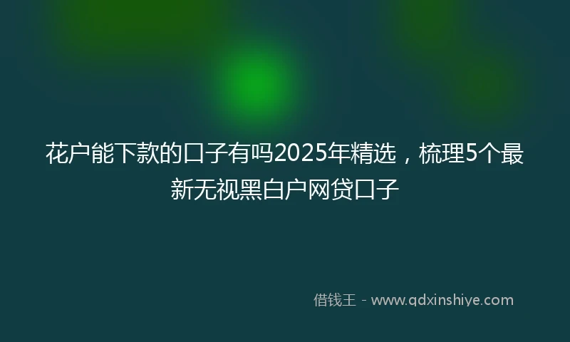 花户能下款的口子有吗2025年精选，梳理5个最新无视黑白户网贷口子