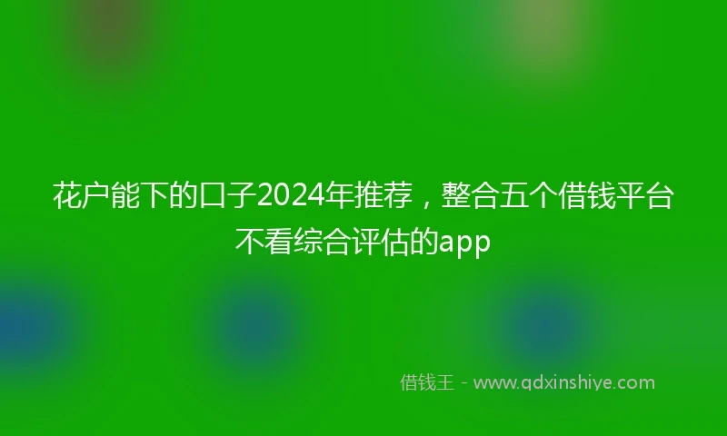 花户能下的口子2024年推荐，整合五个借钱平台不看综合评估的app