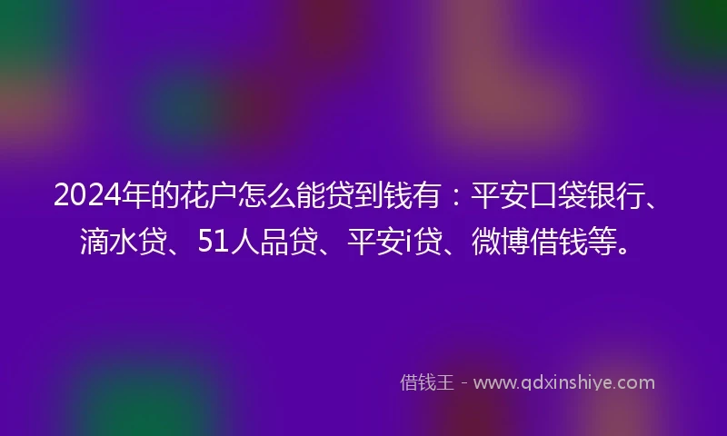 2024年的花户怎么能贷到钱有：平安口袋银行、滴水贷、51人品贷、平安i贷、微博借钱等。