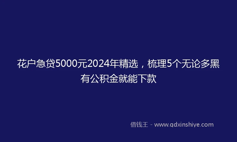 花户急贷5000元2024年精选，梳理5个无论多黑有公积金就能下款