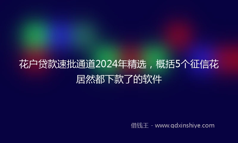 花户贷款速批通道2024年精选，概括5个征信花居然都下款了的软件