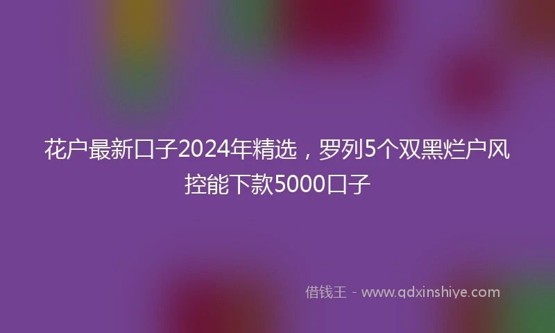 花户最新口子2024年精选，罗列5个双黑烂户风控能下款5000口子