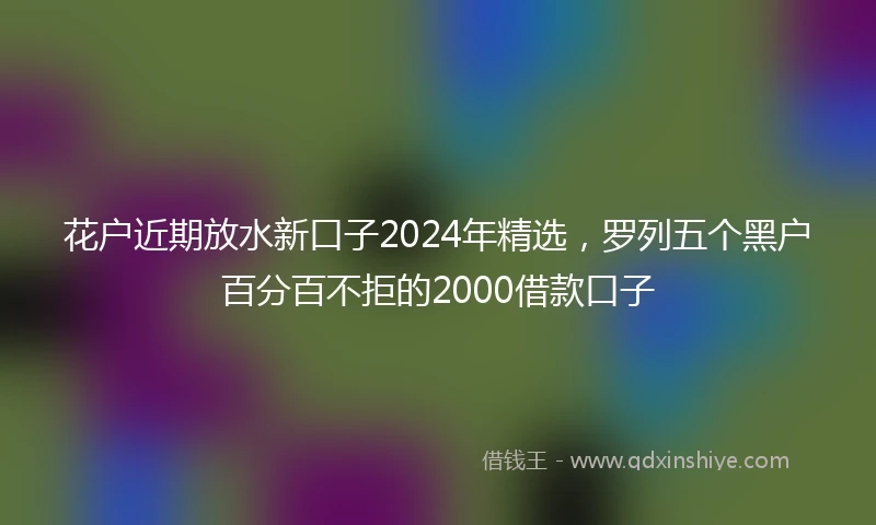花户近期放水新口子2024年精选，罗列五个黑户百分百不拒的2000借款口子