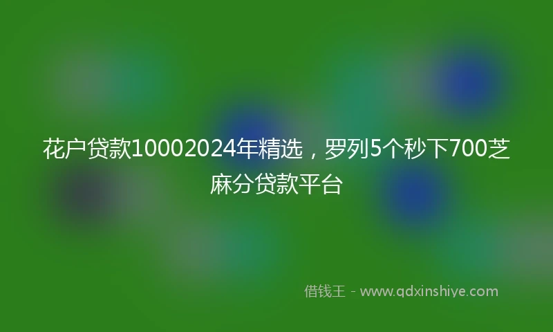 花户贷款10002024年精选，罗列5个秒下700芝麻分贷款平台