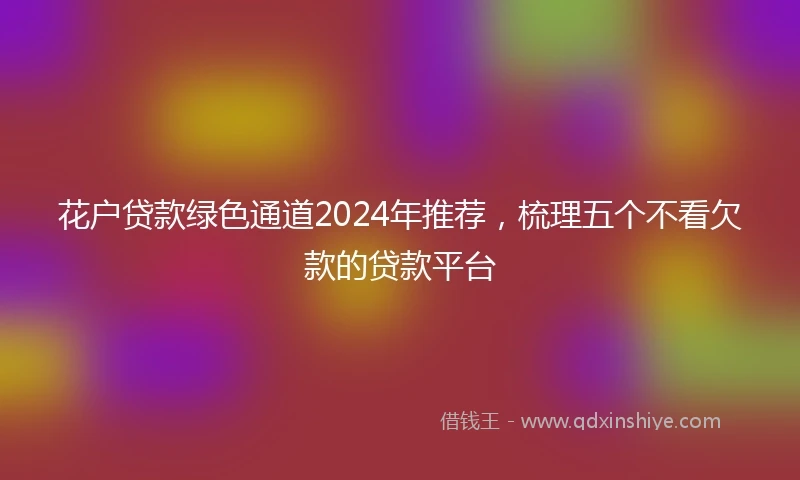 花户贷款绿色通道2024年推荐，梳理五个不看欠款的贷款平台
