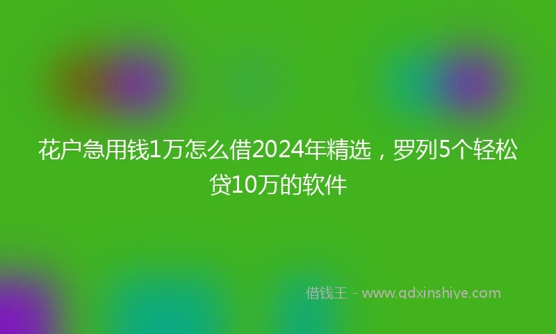 花户急用钱1万怎么借2024年精选，罗列5个轻松贷10万的软件