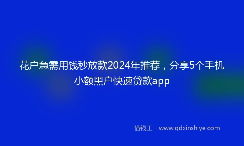 花户急需用钱秒放款2024年推荐，分享5个手机小额黑户快速贷款app