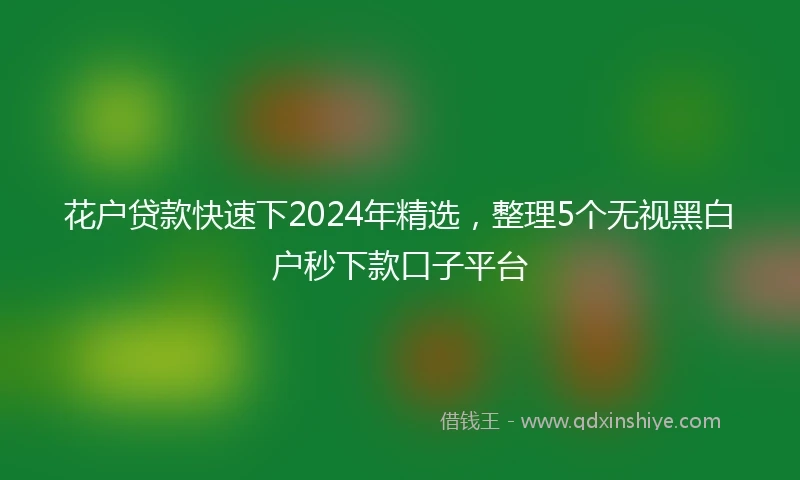 花户贷款快速下2024年精选，整理5个无视黑白户秒下款口子平台
