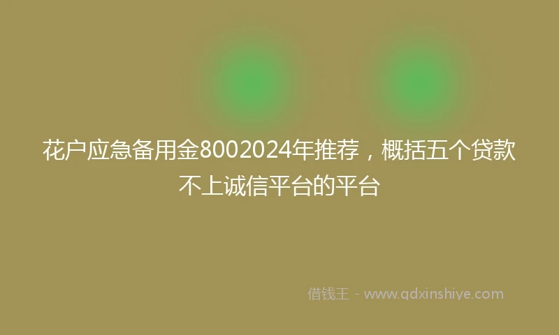 花户应急备用金8002024年推荐，概括五个贷款不上诚信平台的平台