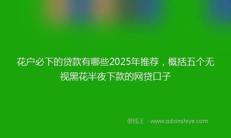 花户必下的贷款有哪些2025年推荐，概括五个无视黑花半夜下款的网贷口子