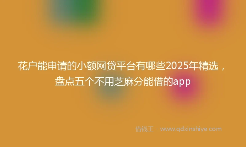 花户能申请的小额网贷平台有哪些2025年精选，盘点五个不用芝麻分能借的app