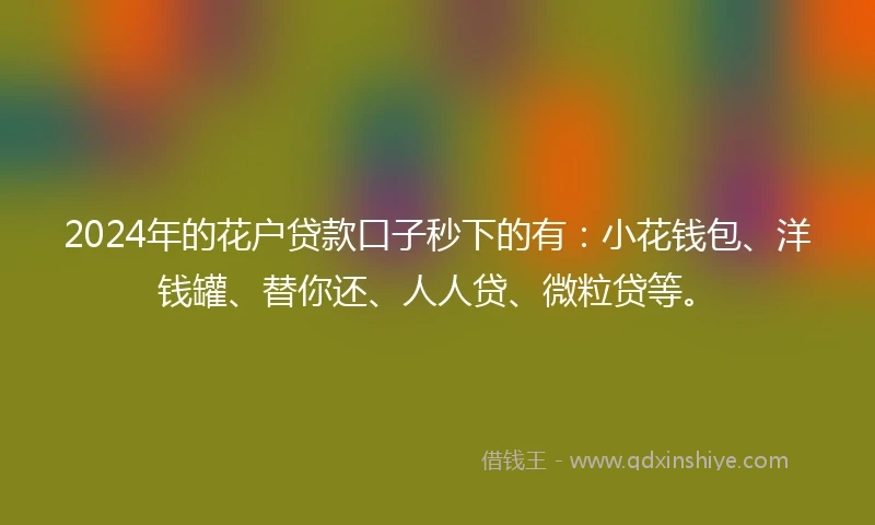 2024年的花户贷款口子秒下的有：小花钱包、洋钱罐、替你还、人人贷、微粒贷等。