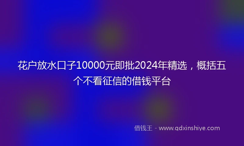 花户放水口子10000元即批2024年精选，概括五个不看征信的借钱平台